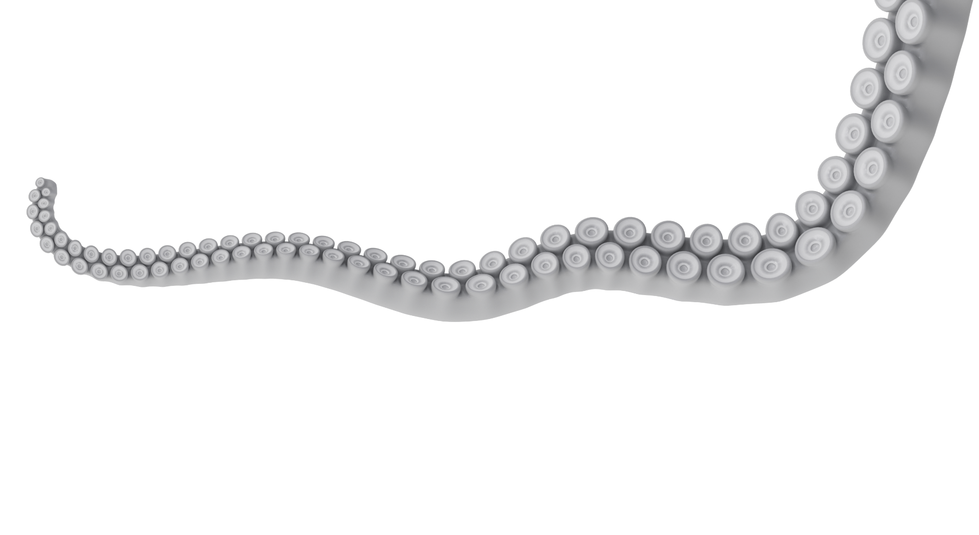 Ein Octopus Arm